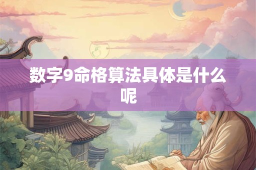 详细阅读:数字9命格算法具体是什么呢 数字9命格算法具体是什么呢