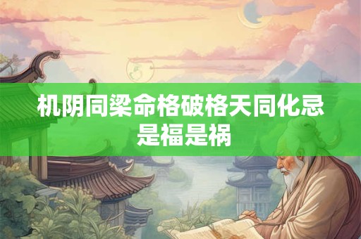 机阴同梁命格破格天同化忌 是福是祸