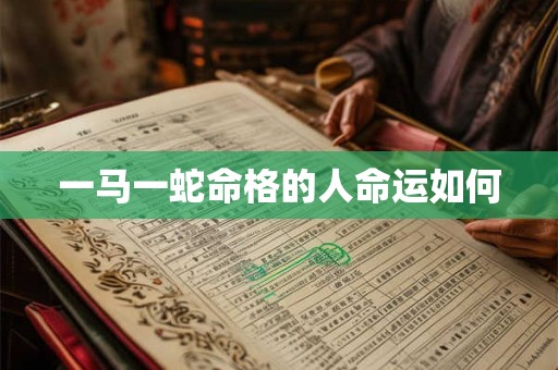一马一蛇命格的人命运如何