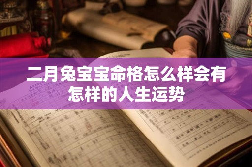 二月兔宝宝命格怎么样会有怎样的人生运势