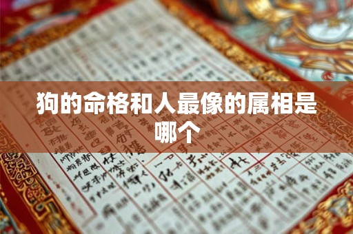 狗的命格和人最像的属相是哪个