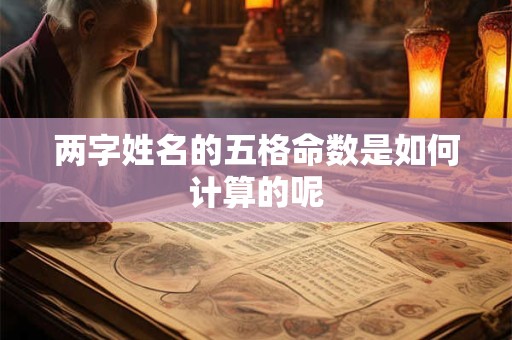 两字姓名的五格命数是如何计算的呢 两字姓名的五格命数是如何计算的呢