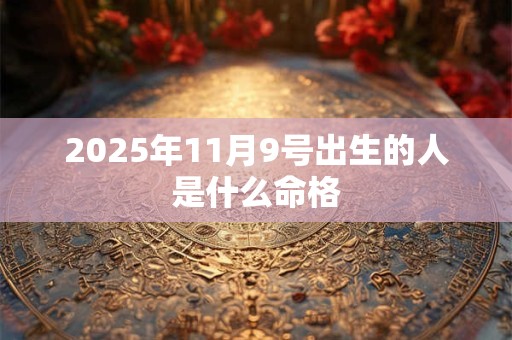 2025年11月9号出生的人是什么命格