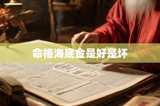 命格海底金是好是坏