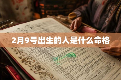 2月9号出生的人是什么命格