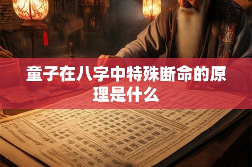童子在八字中特殊断命的原理是什么