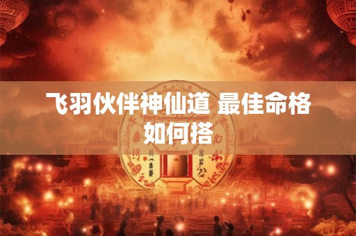 飞羽伙伴神仙道 最佳命格如何搭