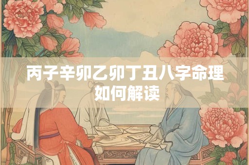 丙子辛卯乙卯丁丑八字命理 如何解读