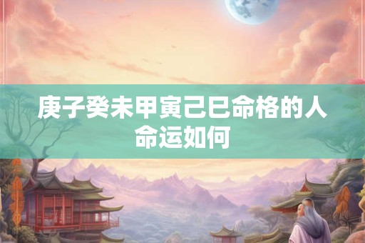 庚子癸未甲寅己巳命格的人命运如何