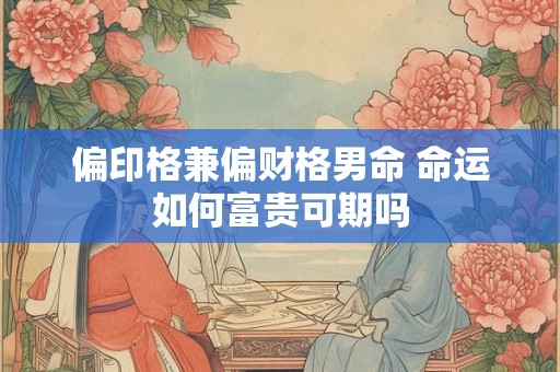 偏印格兼偏财格男命 命运如何富贵可期吗