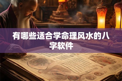 有哪些适合学命理风水的八字软件