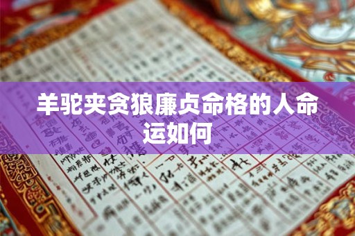 羊驼夹贪狼廉贞命格的人命运如何
