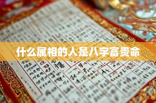 什么属相的人是八字富贵命