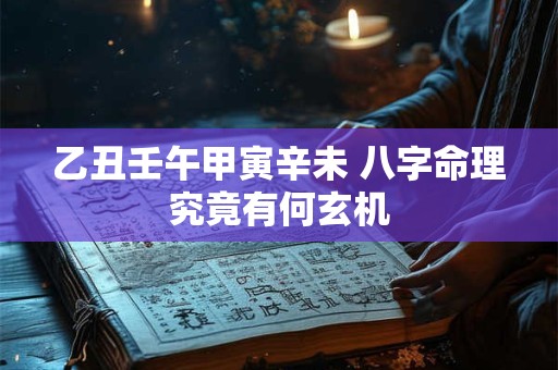 乙丑壬午甲寅辛未 八字命理究竟有何玄机