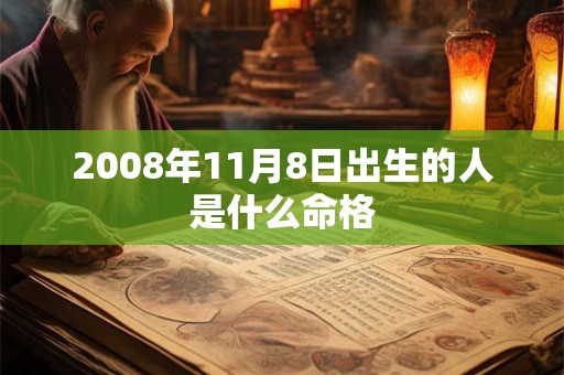 2008年11月8日出生的人是什么命格