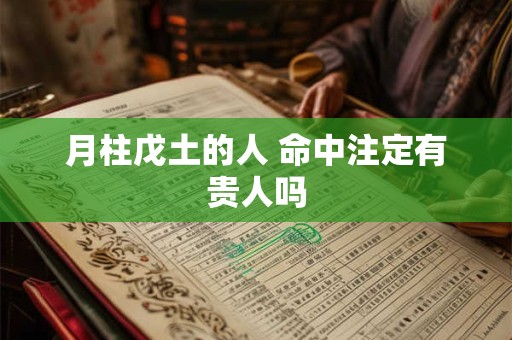 月柱戊土的人 命中注定有贵人吗