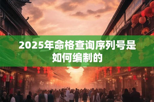 2025年命格查询序列号是如何编制的