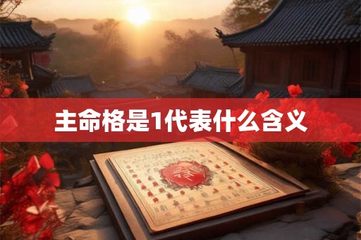 主命格是1代表什么含义