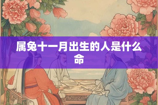 属兔十一月出生的人是什么命