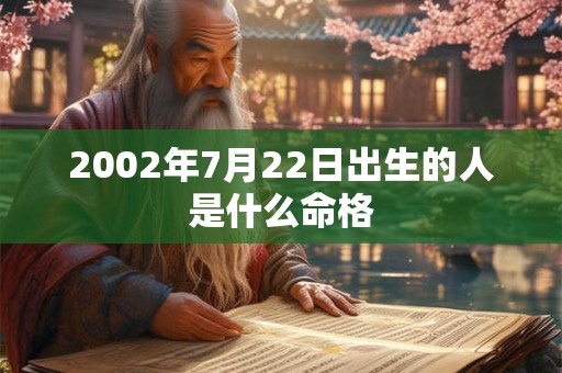 2002年7月22日出生的人是什么命格