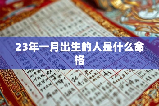 23年一月出生的人是什么命格