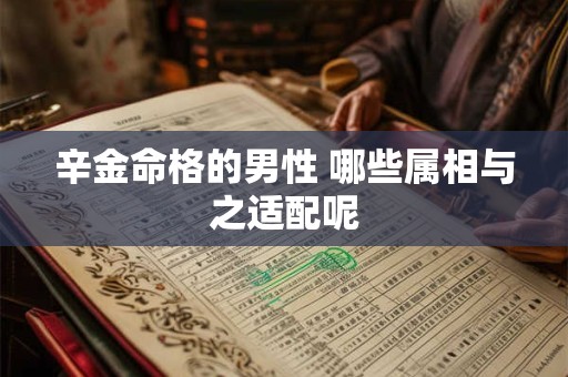 辛金命格的男性 哪些属相与之适配呢 辛金命格的男性 哪些属相与之适配呢