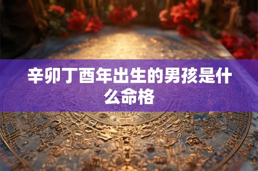 辛卯丁酉年出生的男孩是什么命格