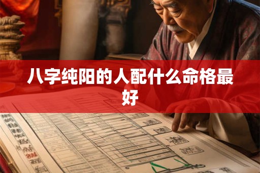 八字纯阳的人配什么命格最好