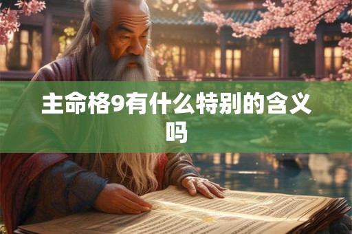 主命格9有什么特别的含义吗