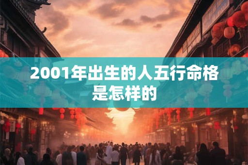 2001年出生的人五行命格是怎样的
