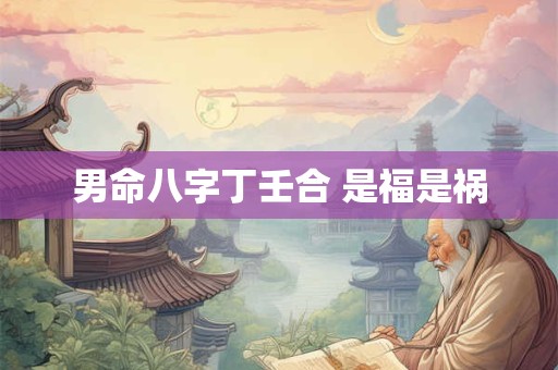 男命八字丁壬合 是福是祸