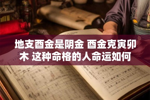 地支酉金是阴金 酉金克寅卯木 这种命格的人命运如何