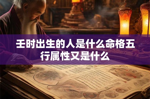 壬时出生的人是什么命格五行属性又是什么