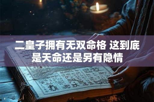 二皇子拥有无双命格 这到底是天命还是另有隐情