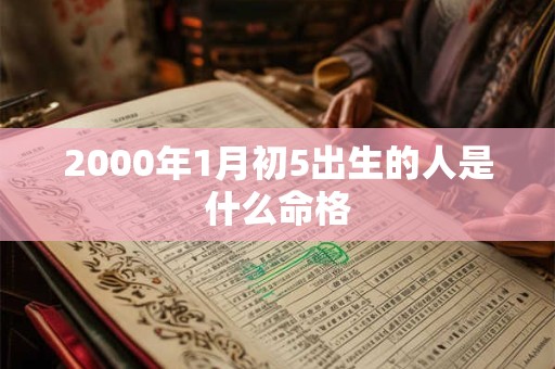 2000年1月初5出生的人是什么命格