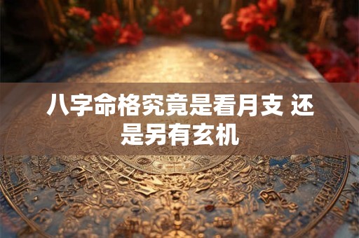 八字命格究竟是看月支 还是另有玄机
