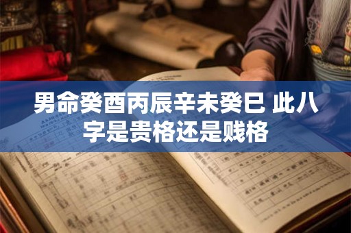 男命癸酉丙辰辛未癸巳 此八字是贵格还是贱格