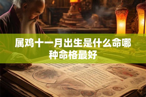 属鸡十一月出生是什么命哪种命格最好