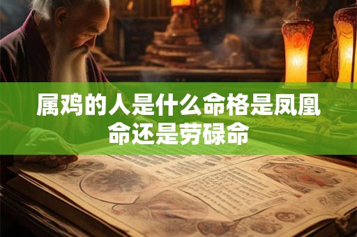 属鸡的人是什么命格是凤凰命还是劳碌命