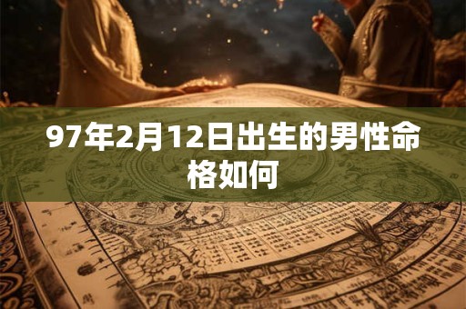 97年2月12日出生的男性命格如何