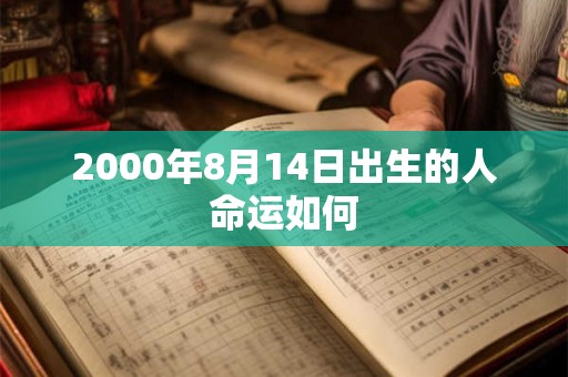 2000年8月14日出生的人命运如何