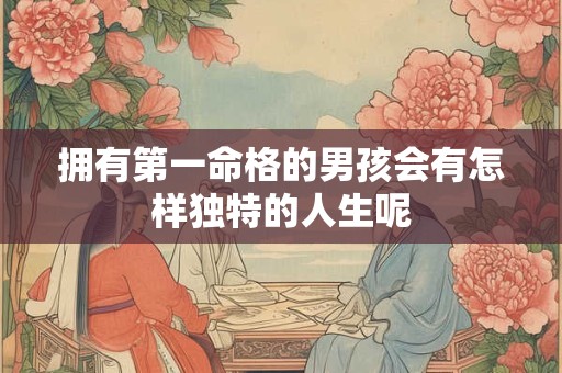 拥有第一命格的男孩会有怎样独特的人生呢