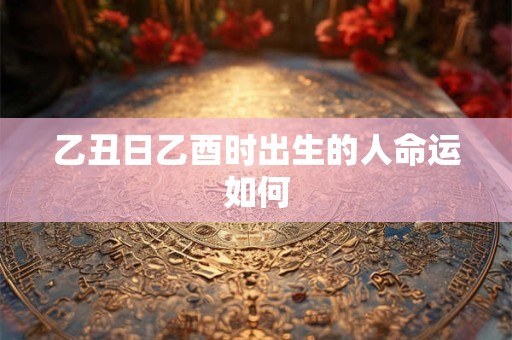 乙丑日乙酉时出生的人命运如何