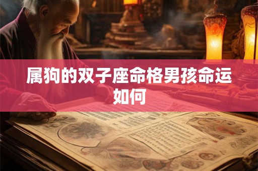 属狗的双子座命格男孩命运如何