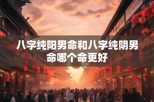 八字纯阳男命和八字纯阴男命哪个命更好