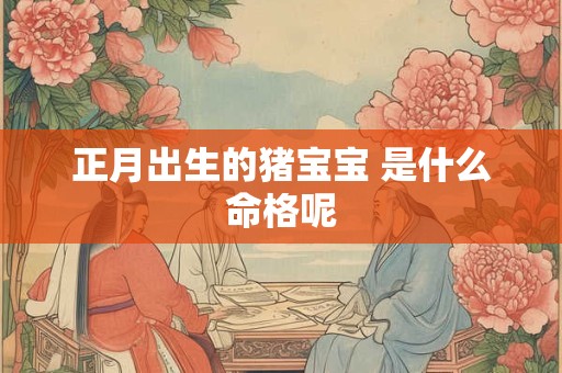 正月出生的猪宝宝 是什么命格呢