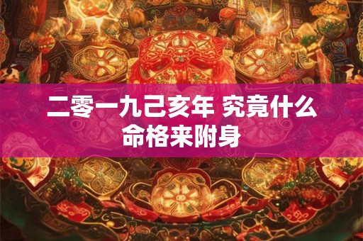 二零一九己亥年 究竟什么命格来附身