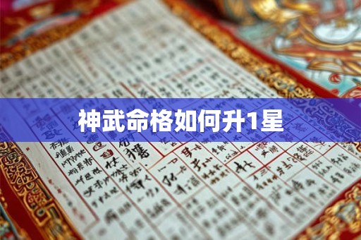 神武命格如何升1星