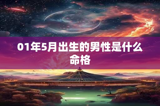 01年5月出生的男性是什么命格
