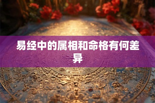 易经中的属相和命格有何差异